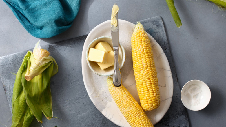 Corn Fiber Market Trends Shaping Business Growth