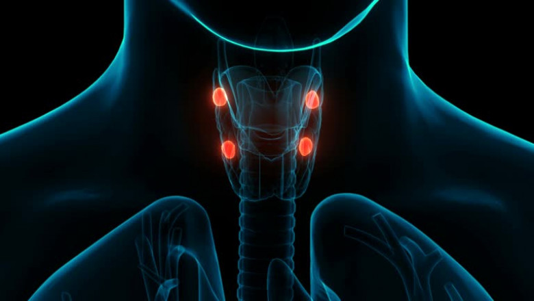 Hyperparathyroidism Treatment Market: Trends and Growth Strategies