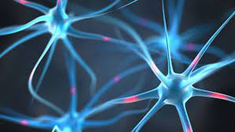 Tonic-clonic Seizure Market Growth Outlook and Key Dynamics