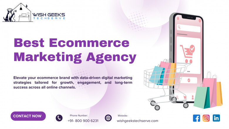 Best Ecommerce Digital Marketing Agency in India to Boost Brand Performance—Wish Geeks Techserve
