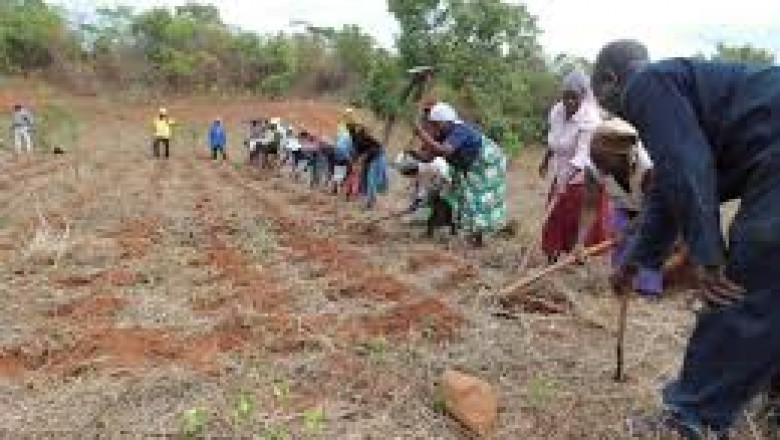 Regenerative Agriculture Market Growth and Future Outlook