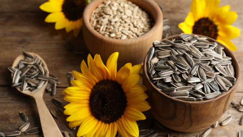 Sunflower Seeds Industry Growth Trends Analysis and Development Opportunities