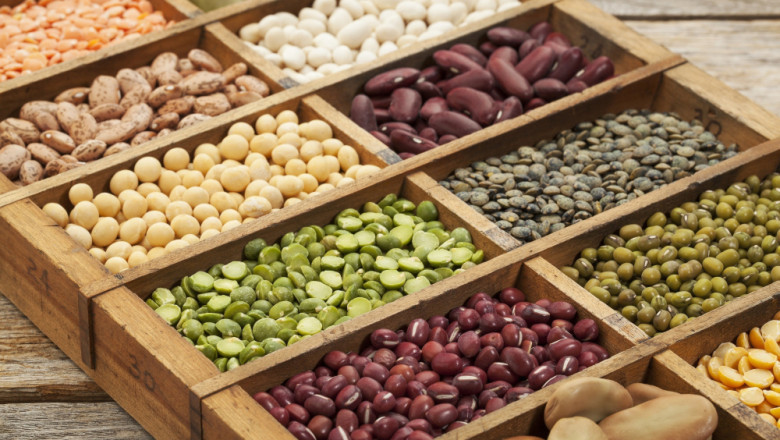 Vegetable Seed Market Growth, Trends, Forecast, and Insights