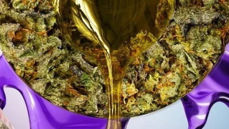 Exploring the Rise of Hemp-Based Edibles: A Taste of the Future