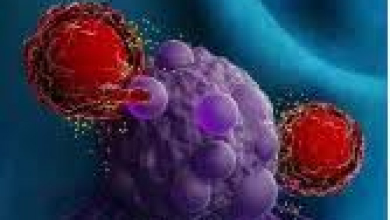 South Korea Car-T Cell Therapy Market Size, Trends, and Growth Analysis