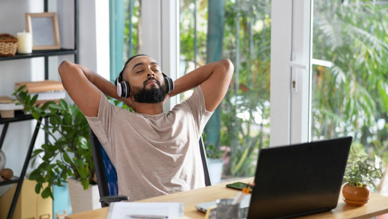 From Stress to Success: How Can Wellness Programs Transform Your Team?