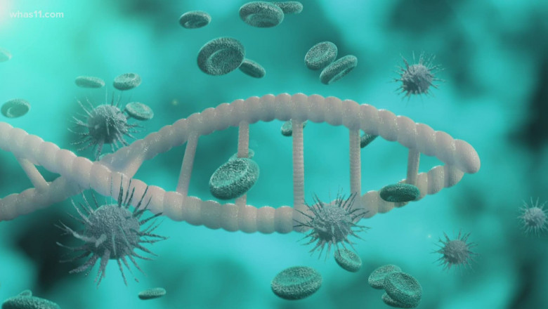 Microbiome Sequencing Service Market Size, Trends, and Strategic Outlook 2025-2032