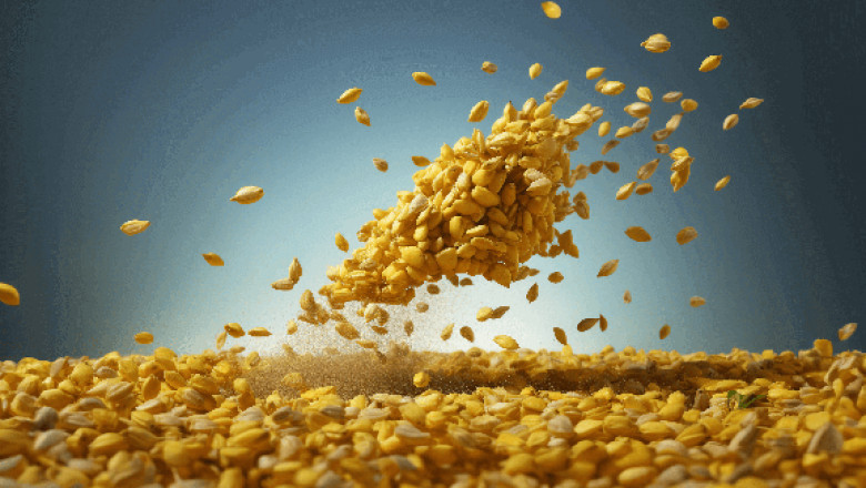 Automation Systems for Food and Agricultural Enterprises