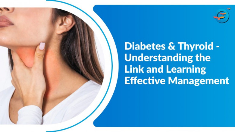 How Thyroid Disorders Affect Blood Sugar Levels