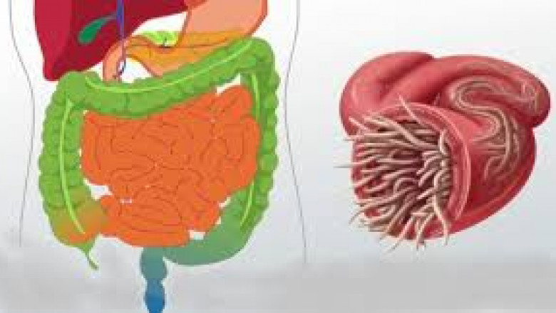 The Malabsorption Syndrome industry is evolving