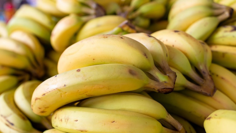 Cavendish Banana Market Size, Trends, and Growth Forecast Analysis 2025-2032