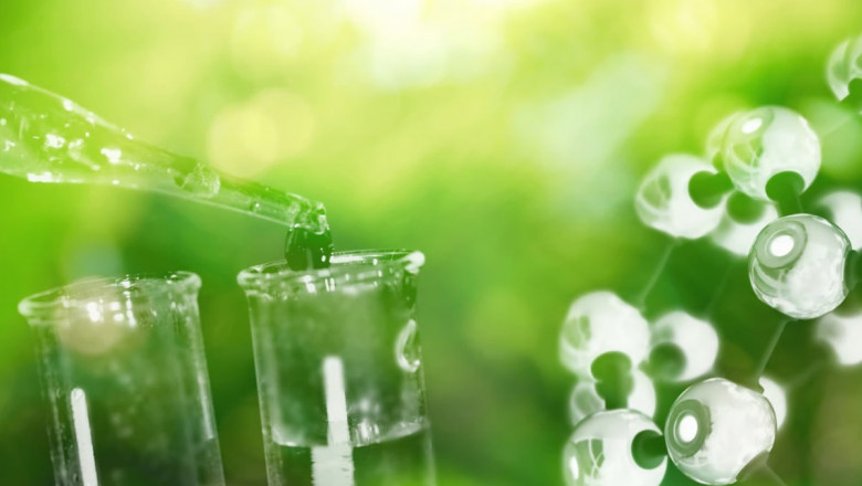 Rapid Expansion in Green Ammonia Market: Size, Trends, and Strategic Outlook