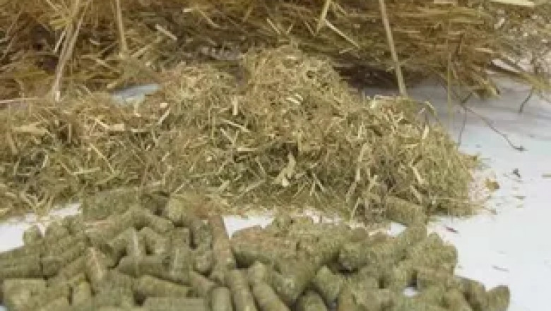 Rice Straw Pellets Manufacturer: Transforming Farm Waste into Clean, Renewable Energy