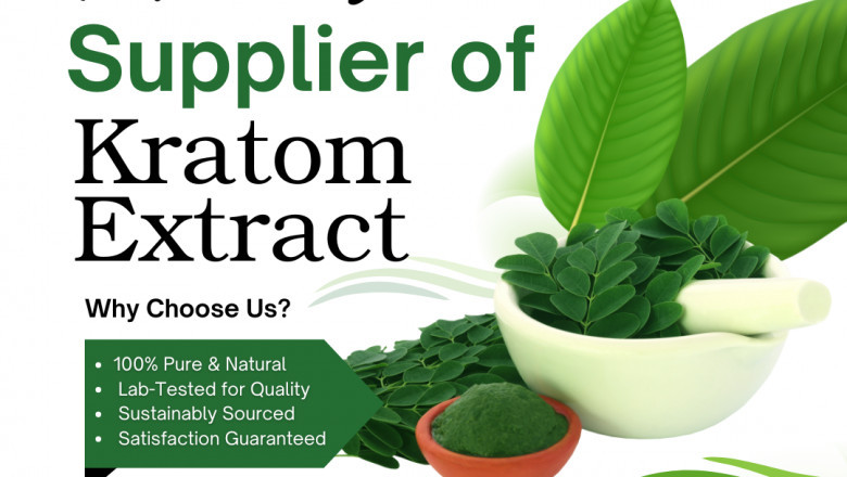 Buy the Cheapest Kratom Extract From MB Kratomtom in Wholesale – Premium Quality Guaranteed