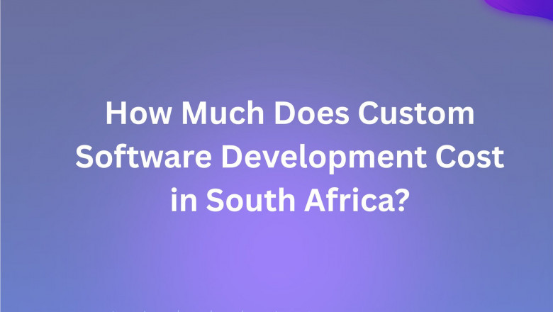 How Much Does Custom Software Development Cost in South Africa?