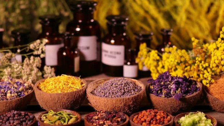Global Botanicals Market Size, Trends, and Growth Outlook 2025-2032