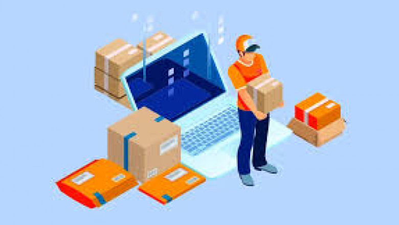 Global Courier Software Market: Size, Trends, and Strategic Outlook 2025-2032