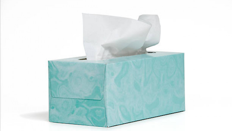 Global Tissue Paper Market: Size, Trends, and Strategic Outlook 2025-2032