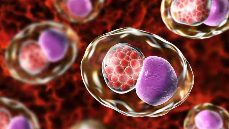Chlamydia Infection Treatment Market: Size, Trends, and Growth Forecast 2025-2032