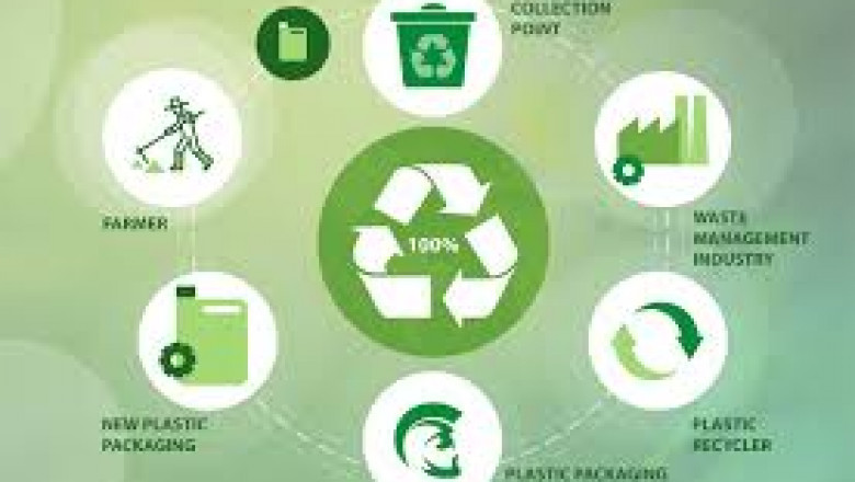 Circular Packaging Market Size, Trends, and Strategic Insights 2025–2032