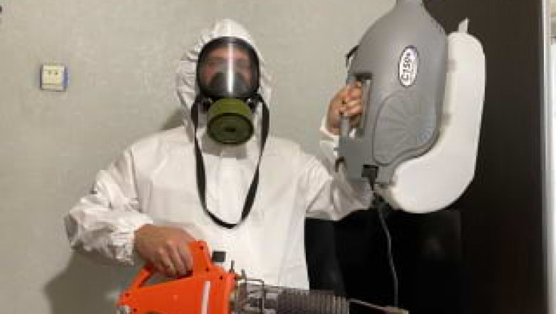 Professional Mold Remediation Services – DFD Ukraine