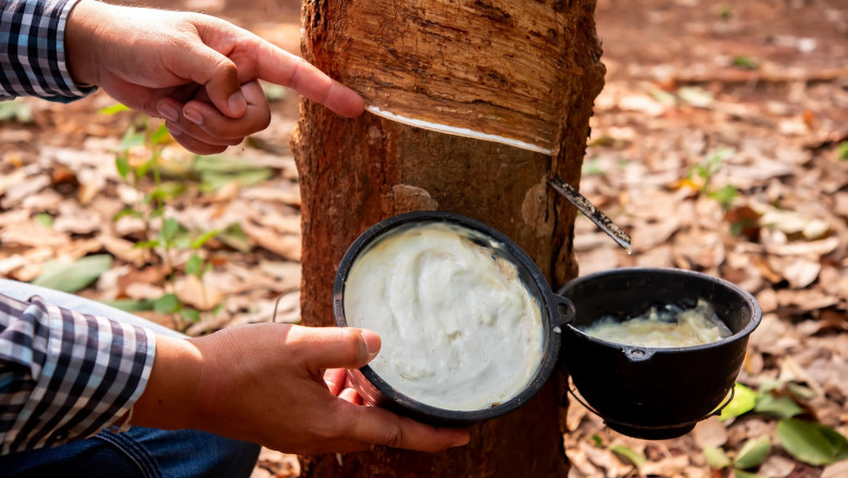 Why Rubber Exporters Must Prioritize Rubber Board Registration in 2025