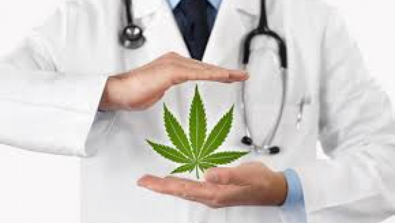 Medical Marijuana Market Size, Trends, and Competitive Strategies Analysis