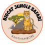 bigcatjunglesafari