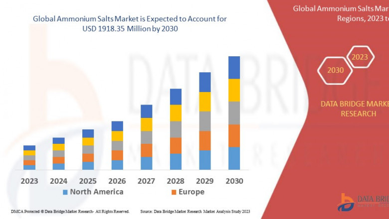 Ammonium Salts Market Size, Share, Trends, Growth Opportunities and Competitive Outlook