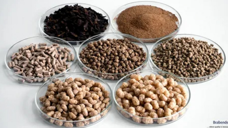 Aquafeed Market information by Aquatic Species, Additive Type, Life Cycle, and region forecast till 2032