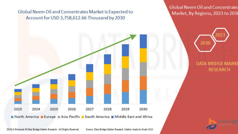 Neem Oil and Concentrates Market Challenges in Growth: Share, Value, Size, and Insights