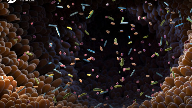 Human Microbiome Market Trend Analysis, Latest Revenue Figures