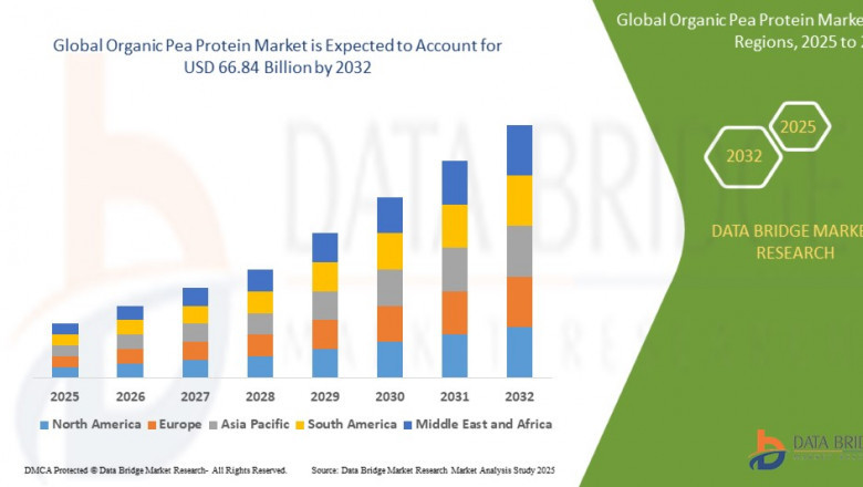 Organic Pea Protein Market Opportunities: Growth, Share, Value, Size and Insights