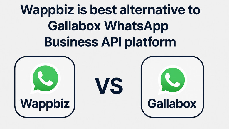 6 Gallabox Alternatives for Smarter WhatsApp Automation and Sales Growth