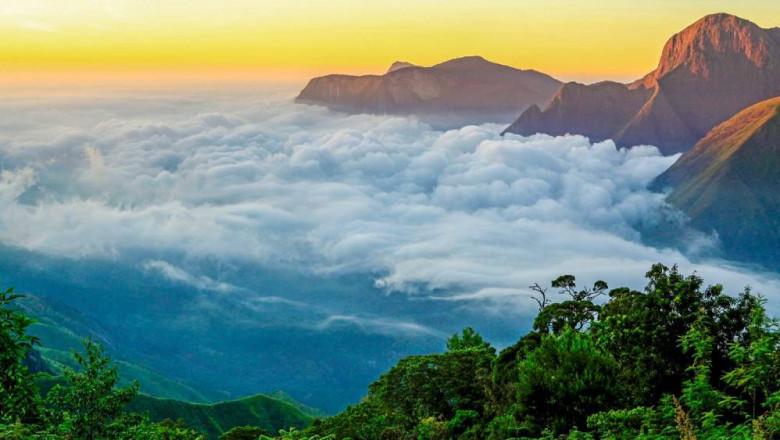 Book Your Munnar Tour Package Today – Best Prices & Custom Itineraries
