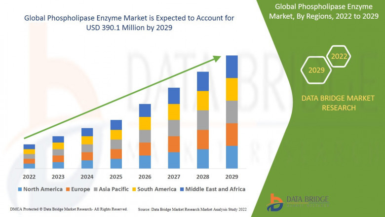 Phospholipase Enzyme Market Size, Share, Trends, Key Drivers, Growth Opportunities and Competitive Outlook