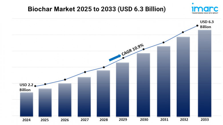 Biochar Market Size, Share, Growth, Trends, and Forecast 2025-2033