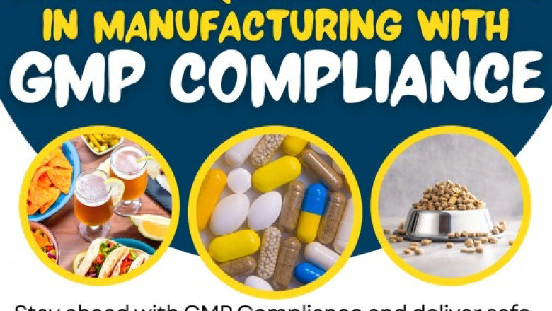 GMP Certification in Miami: Ensure Quality and Compliance with B2BCERT