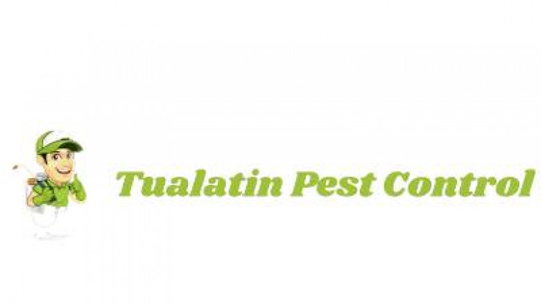 Top 10 pest control companies in USA