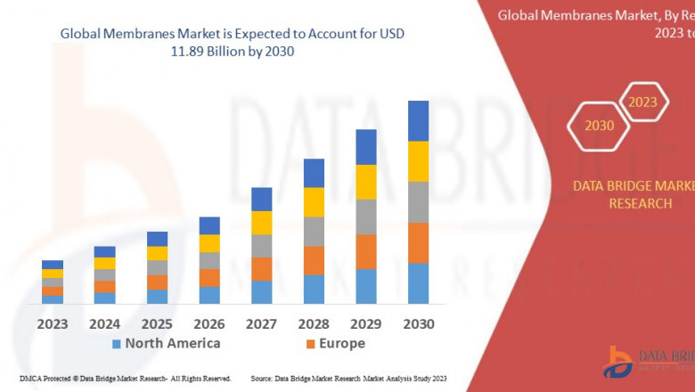 Global Membranes Market Demand: Growth, Share, Value, Size, and Insights