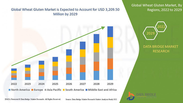 Global Wheat Gluten Market Industry Statistics: Growth, Share, Value, and Trends