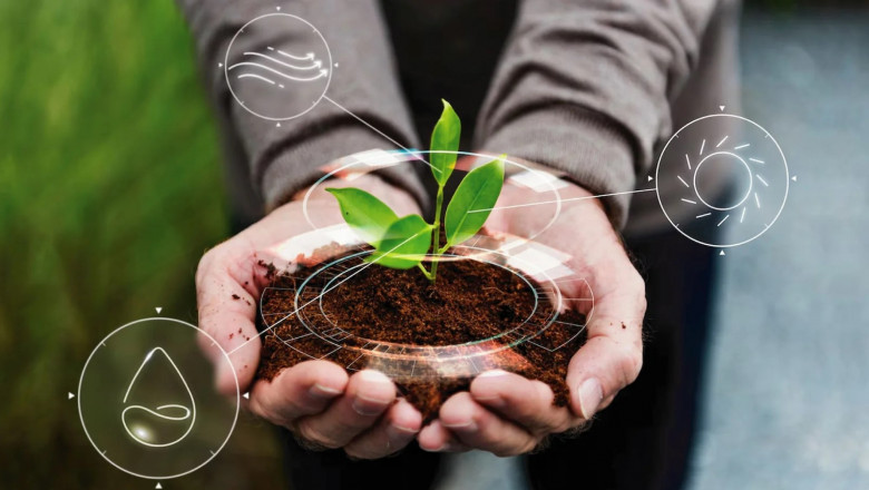 How Carbon Neutral Practices Help Achieve Net-Zero Targets
