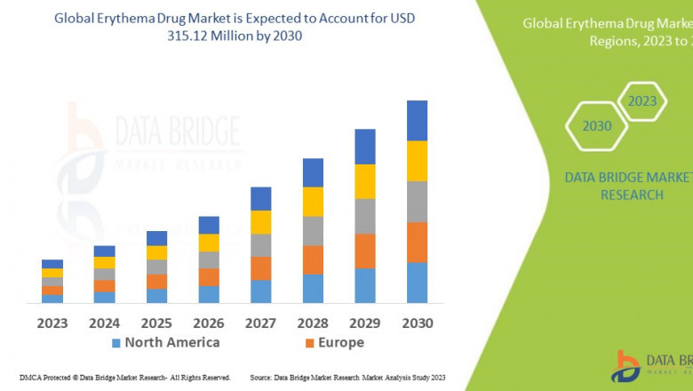 Erythema Drug Market: Insights, Key Players, and Growth Analysis 2024 –2031