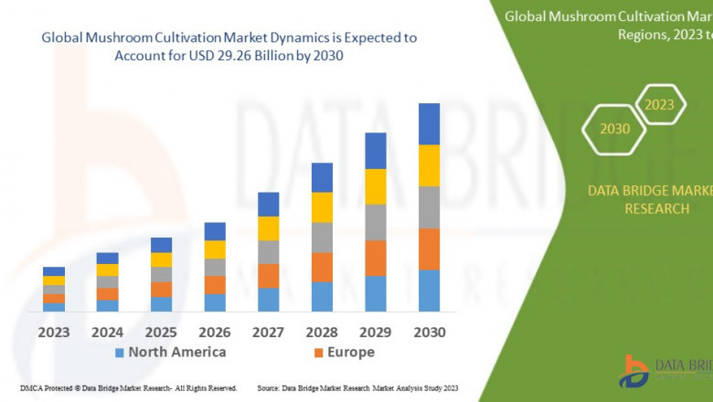 Mushroom Cultivation Market expected to reach USD 32.75 billion by 2032