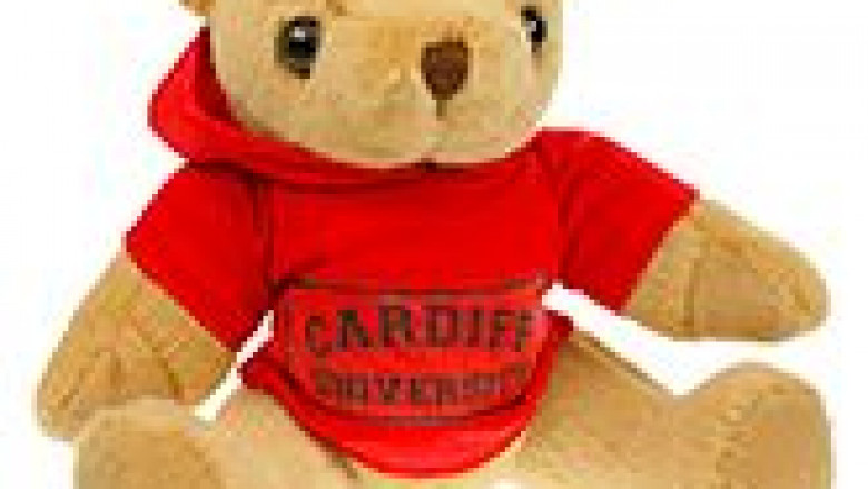 Branded Teddy Bears