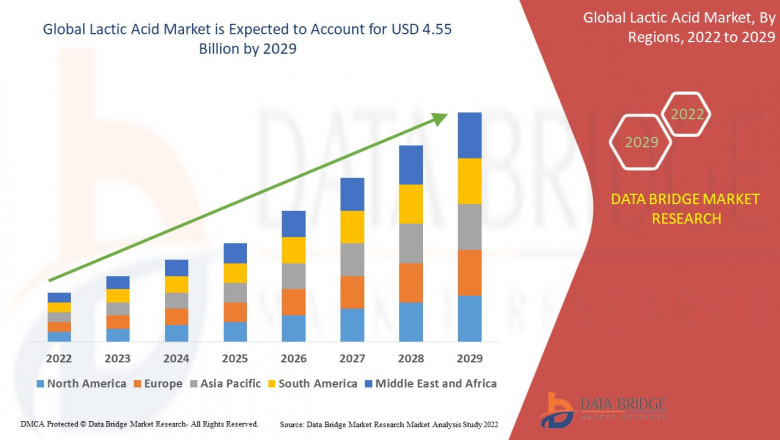 Lactic Acid Business Outlook: Forecast and Developments Period 2025 - 2032