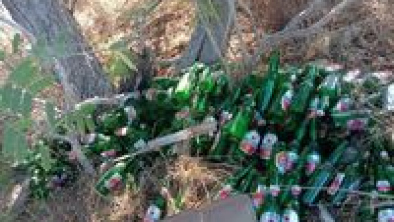 Tackling Glass Bottle Waste on a Komodo Tour: How One Woman Is Cleaning Up Labuan Bajo