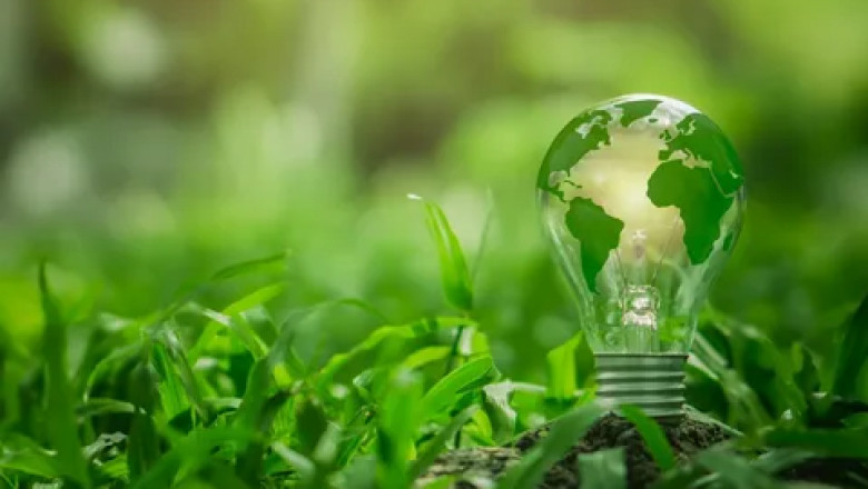The Environmental Impact of Light Bulbs: Key Insights