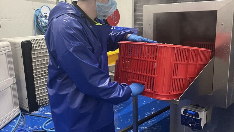 Fish Processing Plant Cleaning for a Safer Work Environment