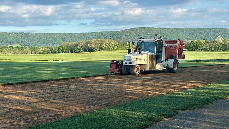 Transform Your Lawn with Fresh Grass Sod in Alexandria: A Guide to Lush, Green Spaces